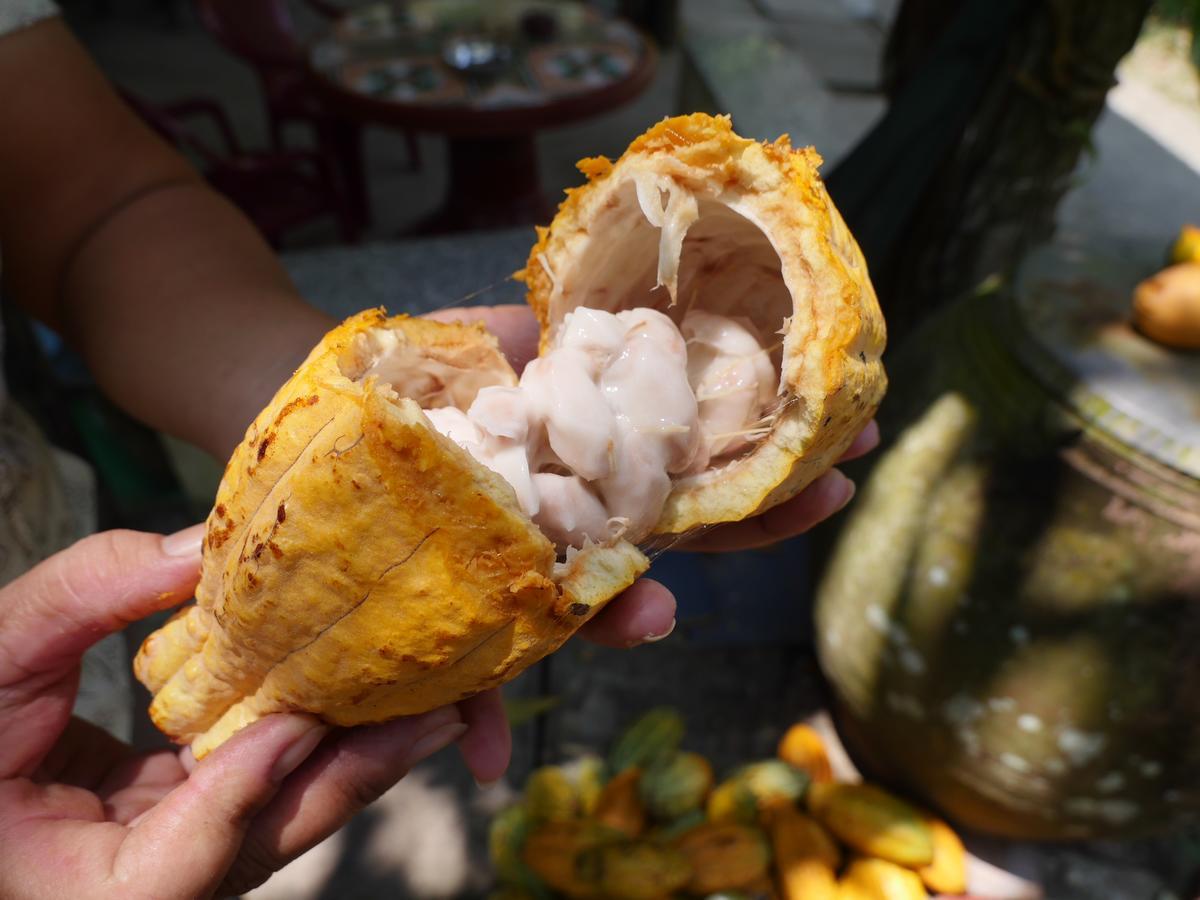 Thanh Ha Guesthouse Can Tho Luaran gambar